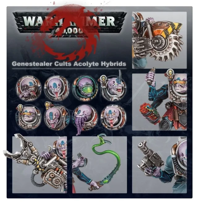 Genestealer Cults Acolyte Hybrids/Hybrid Metamorph