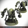 ANACITE LABORER