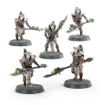 Necrons: Triarch Praetorians/Lychguard