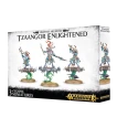 Disciples of Tzeentch Tzaangor Enlightened