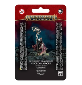 Soulblight Gravelords:  Necromancer