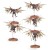 Adeptus Mechanicus: Pteraxii Skystalkers – powietrzni łowcy Omnissiaha