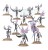 Hedonites Of Slaanesh : Daemonettes