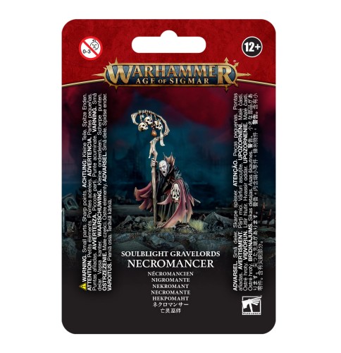 Soulblight Gravelords:  Necromancer