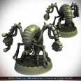 ANACITE LABORER