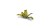 Laser Plants - Banana Tree - Bananowiec