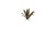 Laser Plants - Agave - Agawa