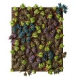 CITADEL BARBED BRACKEN