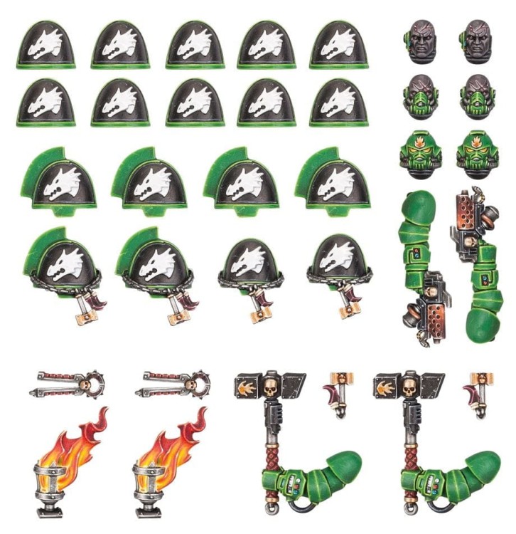 Salamanders Primaris Upgrades & Transfrs