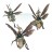 Maggotkin Of Nurgle: Plague Drones