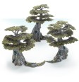 Age Of Sigmar: Awakened Wyldwood