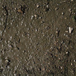 Terrains Wet Ground 250ML Tereny Mokre AK8016