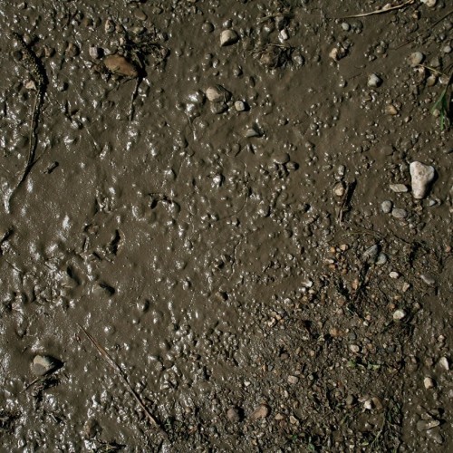 Terrains Wet Ground 250ML Tereny Mokre AK8016