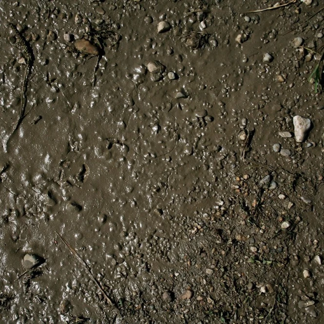 Terrains Wet Ground 250ML Tereny Mokre AK8016