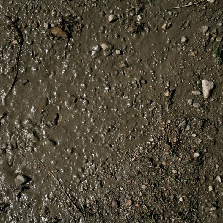 Terrains Wet Ground 250ML Tereny Mokre AK8016