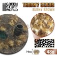 Thorny Scrubs - Burny Brown
