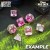 7x Mix 16mm Dice - Clear Pink