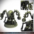 ANACITE LABORER