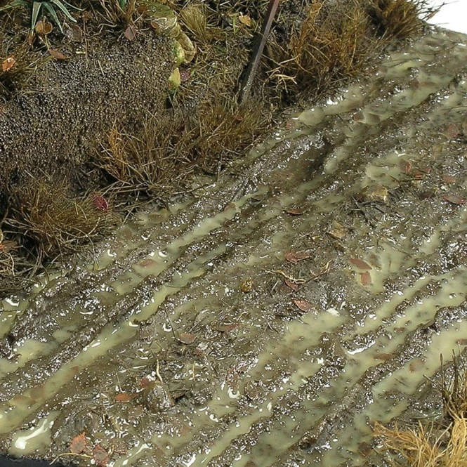 Terrains Wet Ground 250ML Tereny Mokre AK8016