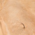Terrains Sandy Desert 250ML Piaszczysta Pustynia