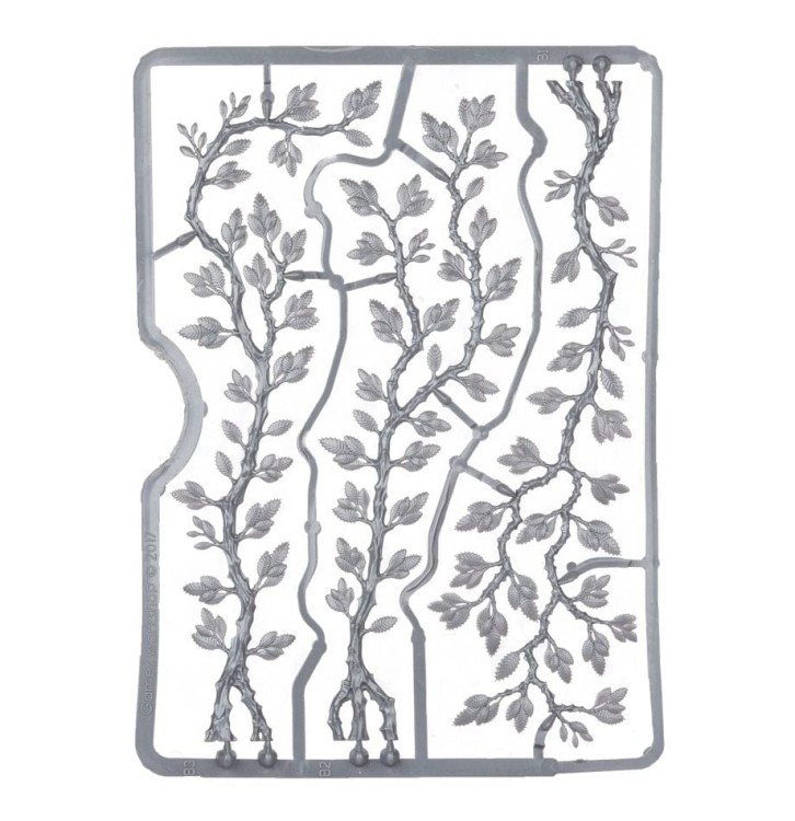 CITADEL CREEPING VINES