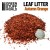 Autumn Leaf Litter