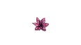 Laser Plants - Alien Rosette - Kosmiczna Rozeta