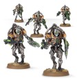 Necrons: Triarch Praetorians/Lychguard