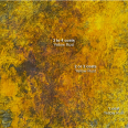 Dirty Down Yellow Rust Effect (25mL) Modelmates