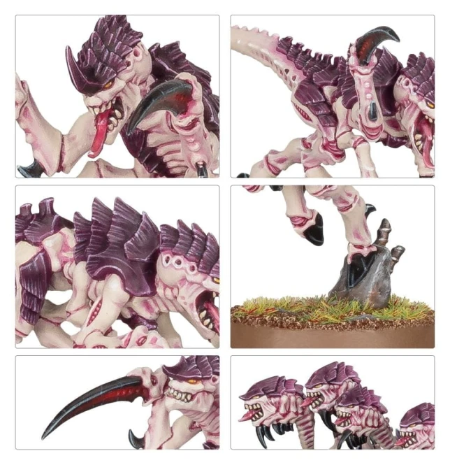 Tyranids Hormagaunt