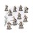 Soulblight Gravelords: Barrow Guard