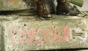 VALLEJO 73827 Weathering Effects 40 ml Moss and Li