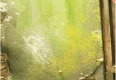 VALLEJO 73823 Weathering Effects 40 ml Slimy Grime