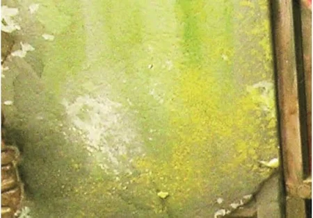 VALLEJO 73823 Weathering Effects 40 ml Slimy Grime