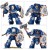 Space Marines Terminator Assault Squad(2025)