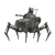 Vogelspinne Light Walker