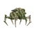 Vogelspinne Light Walker