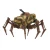 Vogelspinne Light Walker
