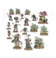 Spearhead: Maggotkin of Nurgle – Bubonic Cell