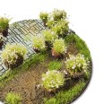 White Green Shrub TUFT