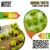 Light Green Shrub TUFT