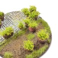 Light Green Shrub TUFT