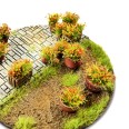 Orange Shrub TUFT