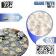 Grass TUFTs XXL 2mm Winter