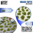 Grass TUFTs XXL 2mm Dry Green