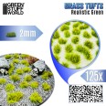 Grass TUFTs XXL 2mm Realistic Green