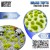 Grass TUFTs XXL 2mm Realistic Green