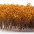 Tall Shrubbery - Autumn Yellow
