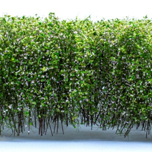 Tall Shrubbery - White/Green