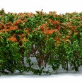 Tall Shrubbery - Brown/Green